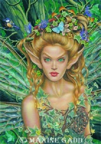 Maxine Gadd Fairy Faery Print Retired Chrysella Forest Queen Mushroom Wings New