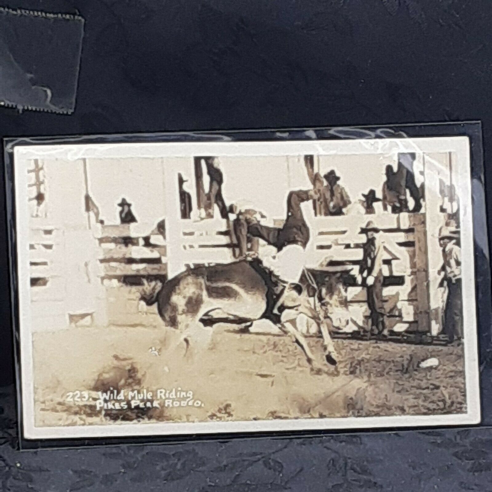 "vintage" Pikes Peak Rodeo Early Print "rare" Wild Mule Ride Rodeo.