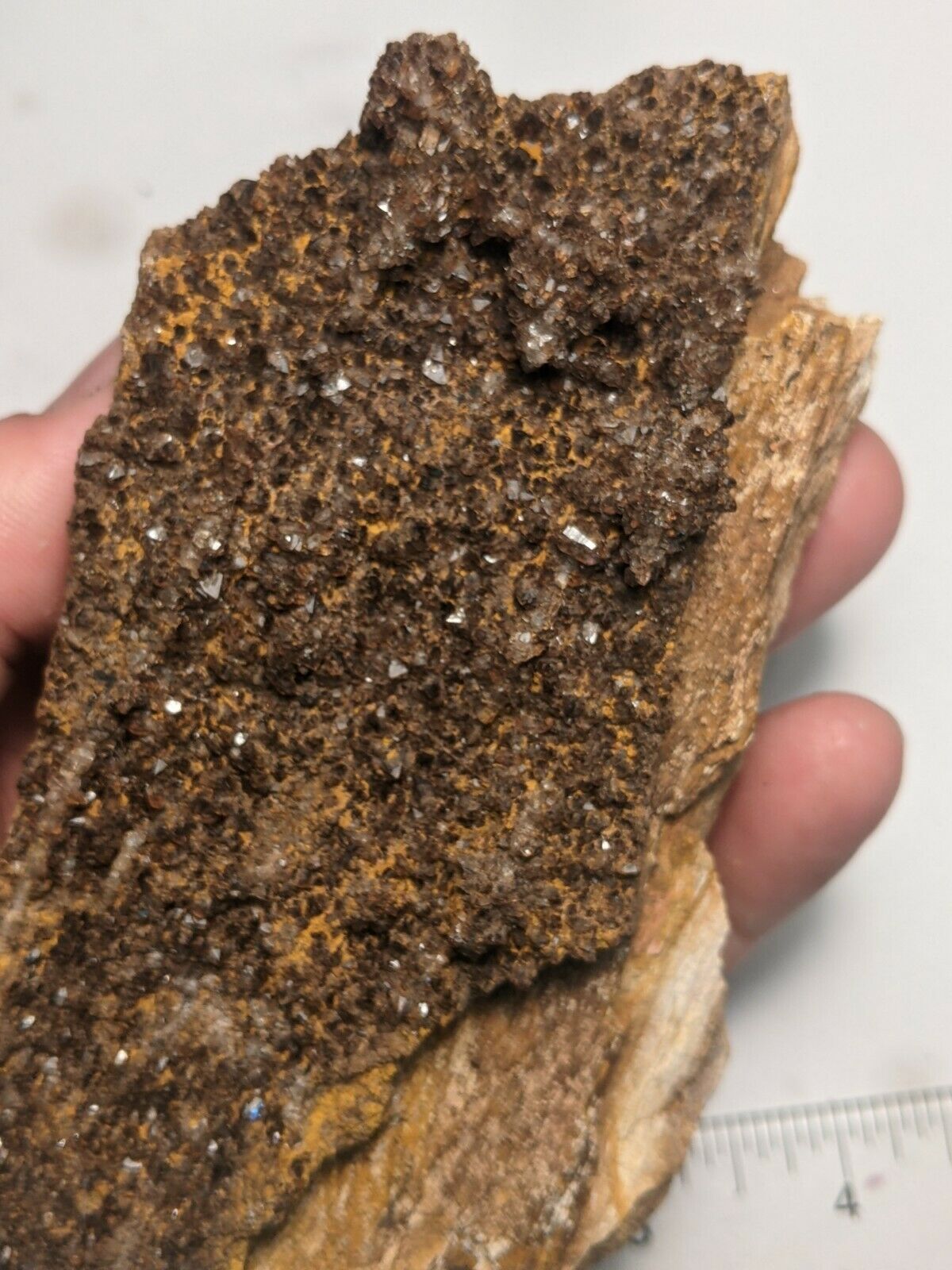 Big Druzy Brilliant Wood Petrified Crystal Cluster Specimen Alabama Large