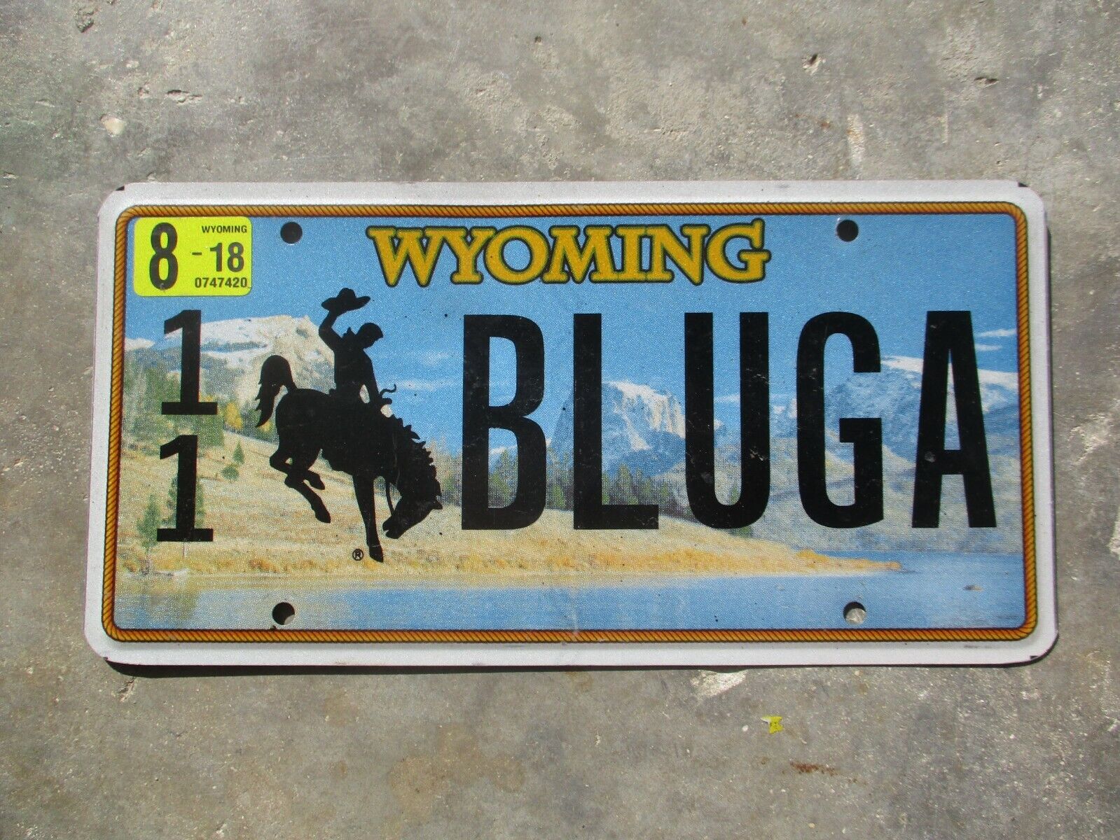 Wyoming Vanity   2018 License Plate  #  11  Bluga