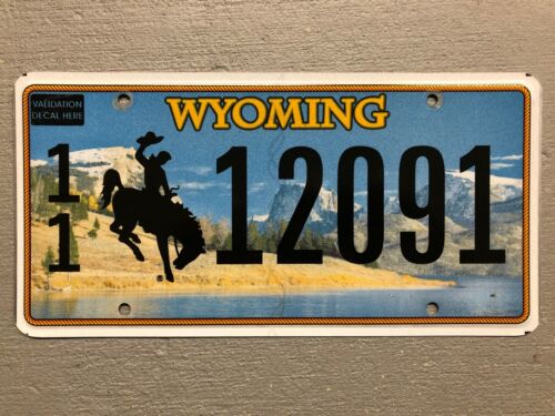 Wyoming License Plate Bucking Bronco Lake- Mountains 🏔 Random Letters/numbers