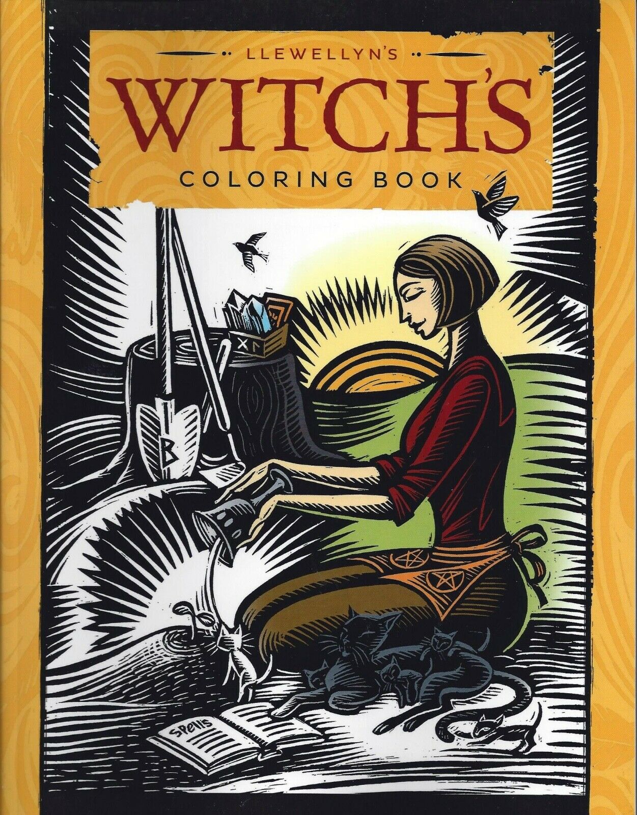 Llewellyn's Witch's Coloring Book Pagan Wicca Wicca Witch Craft Color Book